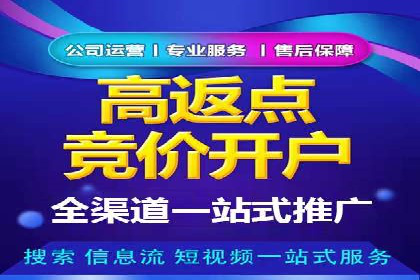 SEM推广案例：揭秘高ROI背后的策略与实践